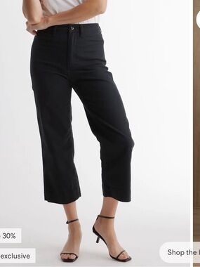 Quince Rust Brown High-Waist Button Front Pants